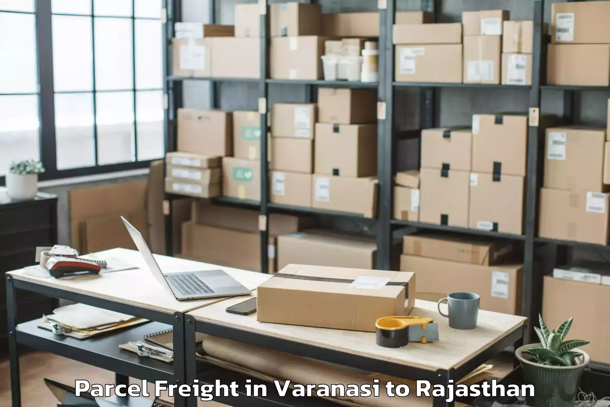 Top Varanasi to Bhindar Parcel Freight Available